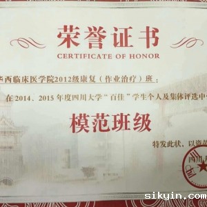 我院2012级作业治疗班获“百佳”、“五四红旗团支部”班级荣誉称号